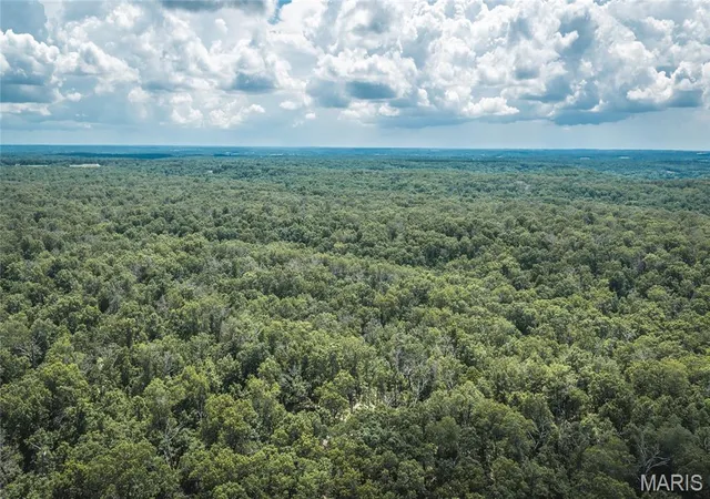 Homes for sale in Macks Creek, MO | Tbd Geronimo Springs Road Tract 6, Macks Creek, MO 65786 | MLS# MIS26043554