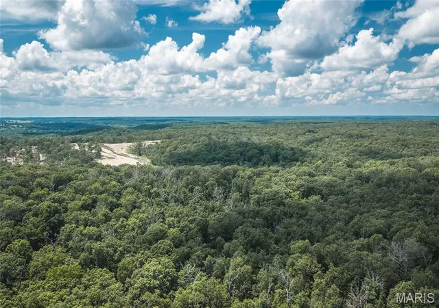Homes for sale in Macks Creek, MO | Tbd Geronimo Springs Road Tract 6, Macks Creek, MO 65786 | MLS# MIS26043554