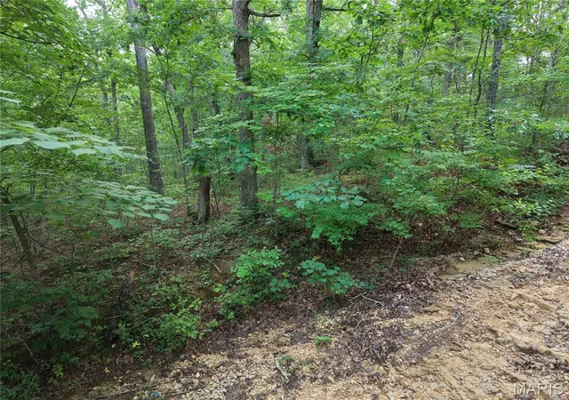 3rd image of 404 Saturn Ln, Lonedell, MO 63060 | MLS# MIS26043556