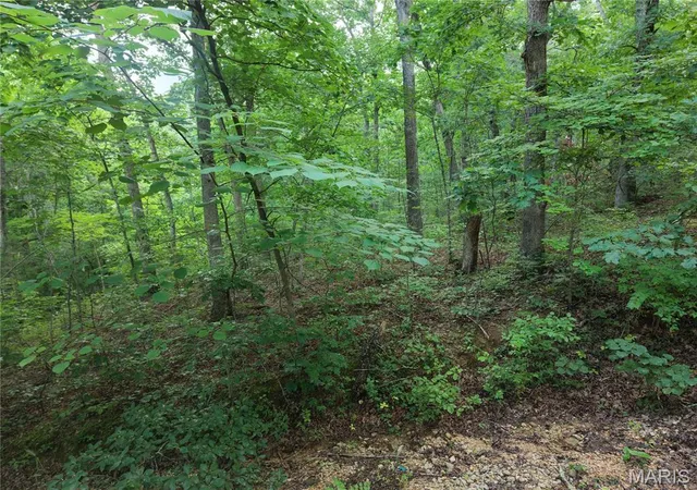 4th image of 404 Saturn Ln, Lonedell, MO 63060 | MLS# MIS26043556
