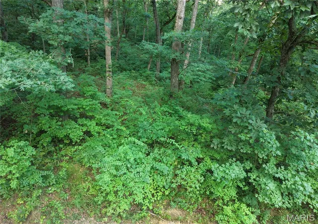 5th image of 404 Saturn Ln, Lonedell, MO 63060 | MLS# MIS26043556
