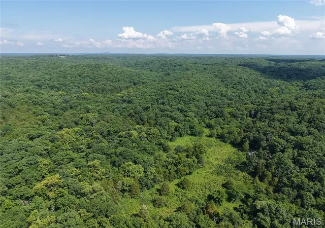 Homes for sale in Bourbon, MO | 416+- Acres Christy Mine Rd, Bourbon, MO 65441 | MLS# MIS26043557
