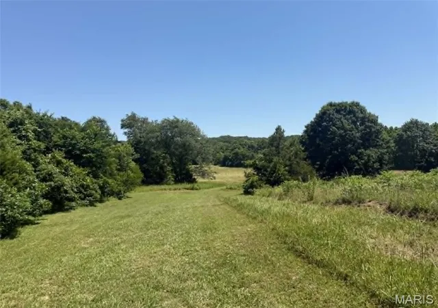 Homes for sale in Steelville, MO | 127 Huzzah Creek Rd, Steelville, MO 65565 | MLS# MIS26043571