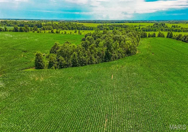 Homes for sale in Huntsville, MO | Tbd County Road 2450, Huntsville, MO 65259 | MLS# MIS26043655