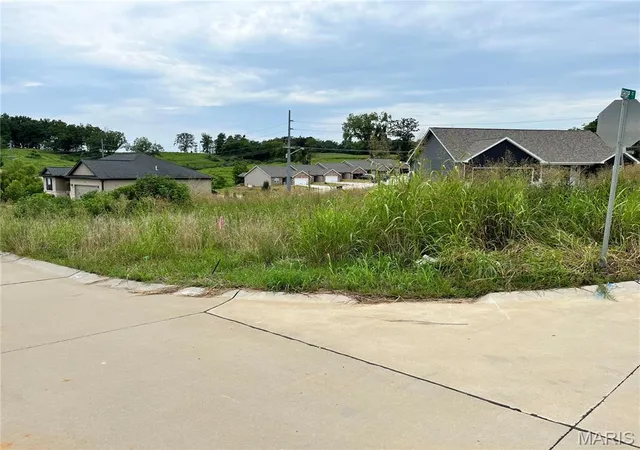 Homes for sale in Jackson, MO | 531 Steeplechase Rd, Jackson, MO 63703 | MLS# MIS26043909