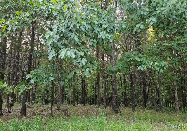 1st image of 2000 Heather Dr, Marthasville, MO 63357 | MLS# MIS26044009