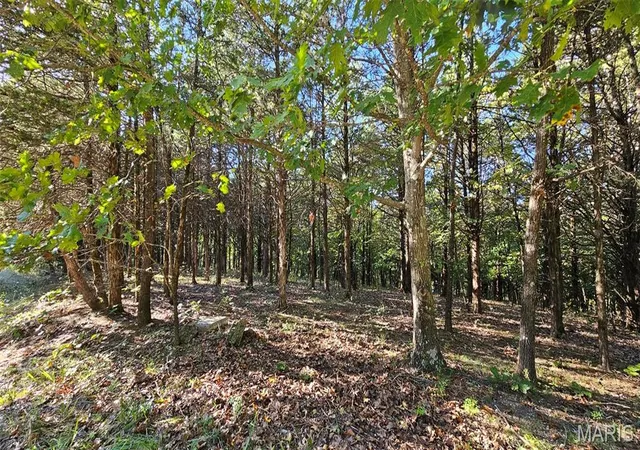 2nd image of 2000 Heather Dr, Marthasville, MO 63357 | MLS# MIS26044009