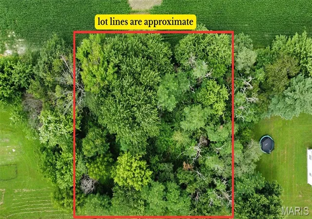 Homes for sale in Mount Olive, IL | Tbd West Fellin Dr, Mount Olive, IL 62069 | MLS# MIS26044010