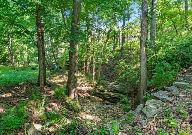 4th image of 30 Rockwood Forest Vly, Eureka, MO 63025 | MLS# MIS26044012