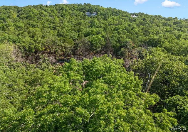 10th image of 30 Rockwood Forest Vly, Eureka, MO 63025 | MLS# MIS26044012