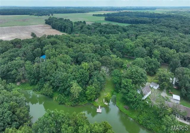 Homes for sale in Mount Olive, IL | 0 S Panther Creek Rd, Mount Olive, IL 62069 | MLS# MIS26044018