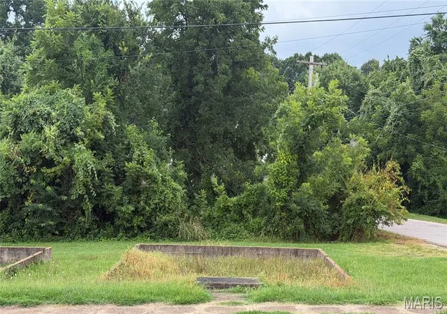 1st image of 00 S Side Park Ave, Poplar Bluff, MO 63901 | MLS# MIS26044035