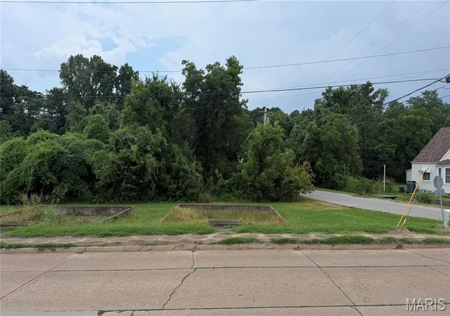 2nd image of 00 S Side Park Ave, Poplar Bluff, MO 63901 | MLS# MIS26044035