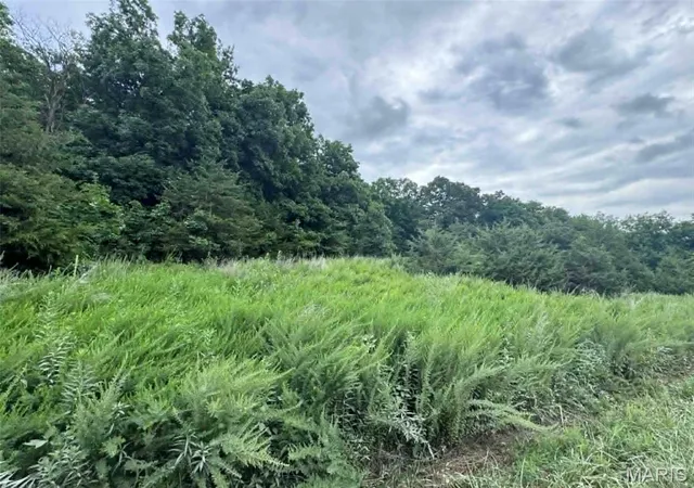 1st image of 0 Walnut Street Pl, New London, MO 63459 | MLS# MIS26044142