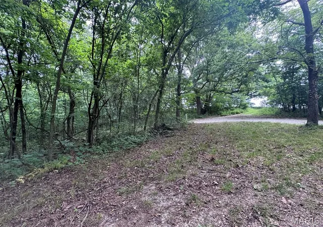 2nd image of 0 Walnut Street Pl, New London, MO 63459 | MLS# MIS26044142