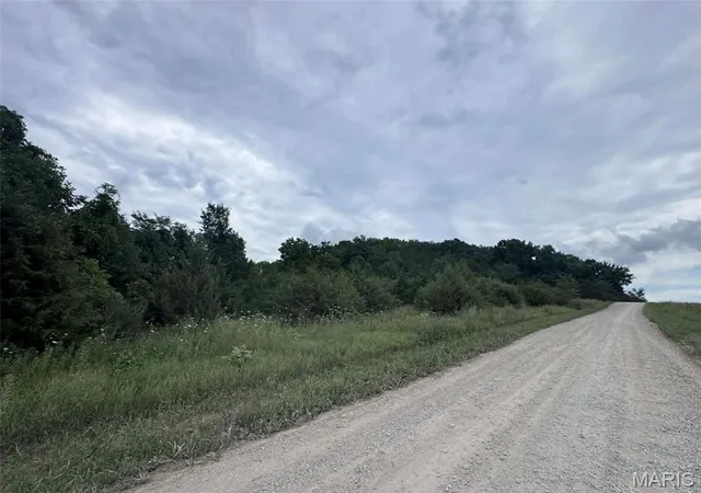 3rd image of 0 Walnut Street Pl, New London, MO 63459 | MLS# MIS26044142