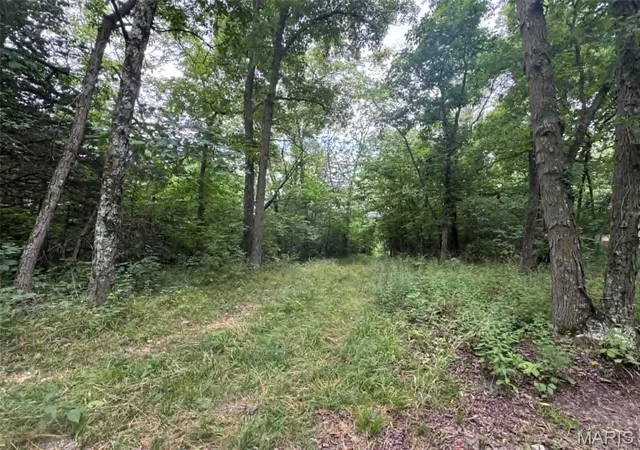 4th image of 0 Walnut Street Pl, New London, MO 63459 | MLS# MIS26044142