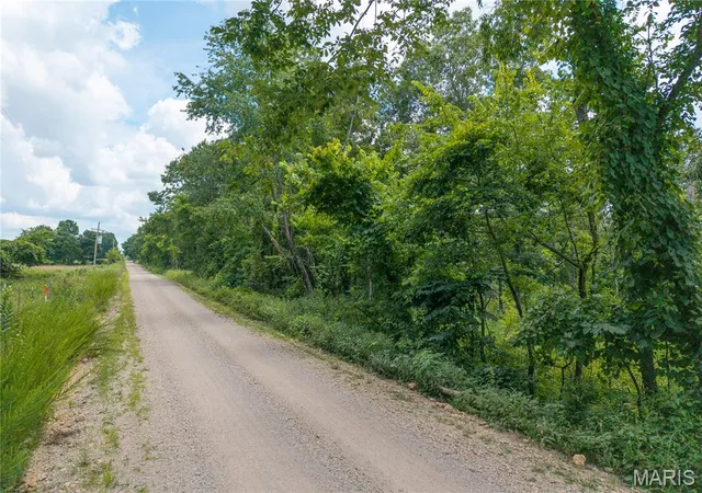 Homes for sale in Stoutland, MO | Tract 1 Keepsake Rd, Stoutland, MO 65567 | MLS# MIS26044146