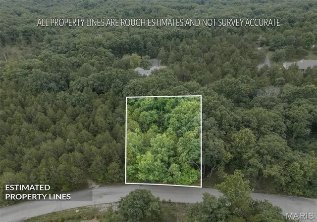 3rd image of 9909 Sassafras Dr, Hillsboro, MO 63050 | MLS# MIS26044149