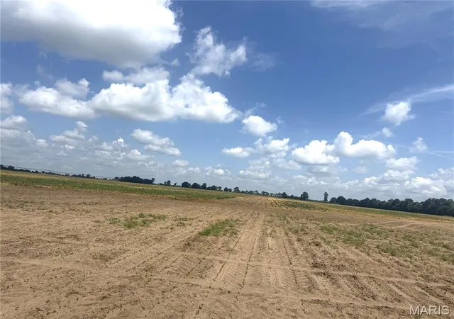 4th image of 532 County Road, Kennett, MO 63857 | MLS# MIS26044155