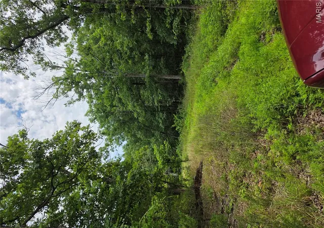 3rd image of 23675 Grandview Rd, Lebanon, MO 65536 | MLS# MIS26044237