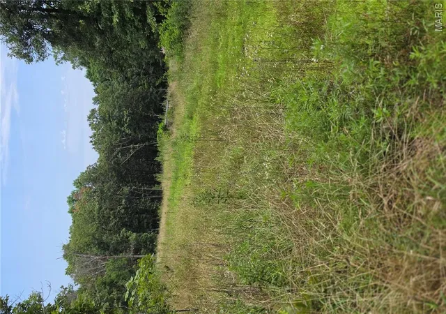 5th image of 23675 Grandview Rd, Lebanon, MO 65536 | MLS# MIS26044237