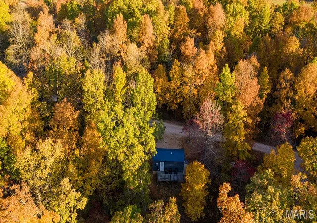 Homes for sale in Eminence, MO | 17720 County Road 504, Eminence, MO 65466 | MLS# MIS26044275