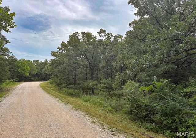 Photo 1 of Land for sale at 0 W Mont Carmel St, Bonne Terre, MO 63628 | MLS# MIS26044312 | Listing updated on 2026-07-14