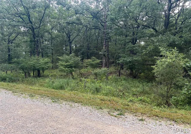 Photo 2 of Land for sale at 0 W Mont Carmel St, Bonne Terre, MO 63628 | MLS# MIS26044312 | Listing updated on 2026-07-14