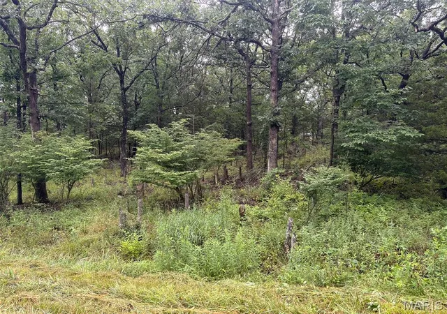 Photo 3 of Land for sale at 0 W Mont Carmel St, Bonne Terre, MO 63628 | MLS# MIS26044312 | Listing updated on 2026-07-14