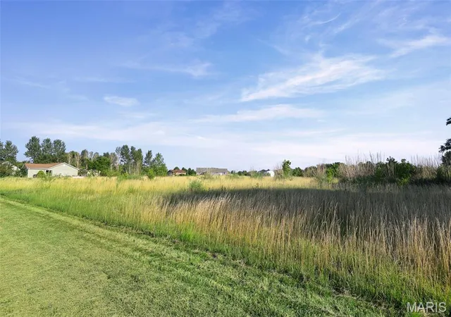 Homes for sale in Worden, IL | 9710 Hosto Rd, Worden, IL 62097 | MLS# MIS26044439