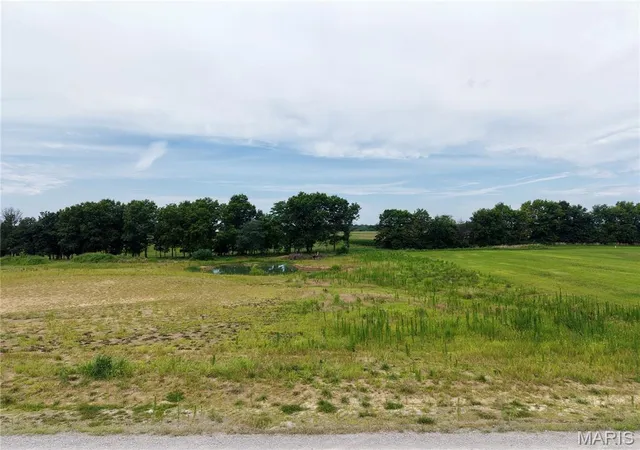 3rd image of 7 Lone Cedar, New London, MO 63459 | MLS# MIS26044525