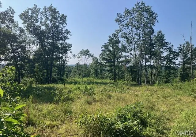 Photo 1 of Land for sale at 132 Madison Cr 410, Fredericktown, MO 63645 | MLS# MIS26044567 | Listing updated on 2026-07-13