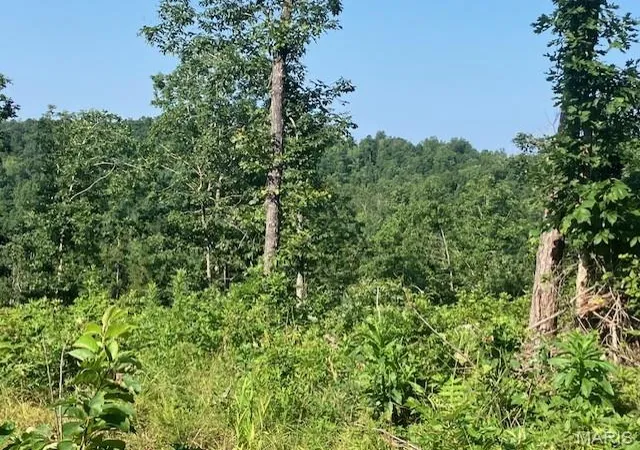 Photo 3 of Land for sale at 132 Madison Cr 410, Fredericktown, MO 63645 | MLS# MIS26044567 | Listing updated on 2026-07-13