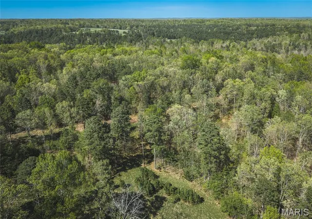 45th image of 11090 Hwy K, Jadwin, MO 65501 | MLS# MIS26044569