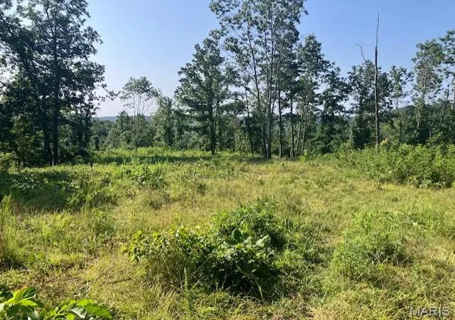 Homes for sale in Fredericktown, MO | 132 Madison Cr 410, Fredericktown, MO 63645 | MLS# MIS26044597