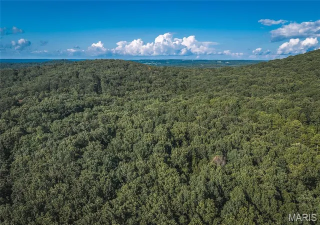 Homes for sale in Rolla, MO | Tbd County Road 8430, Rolla, MO 65401 | MLS# MIS26044608