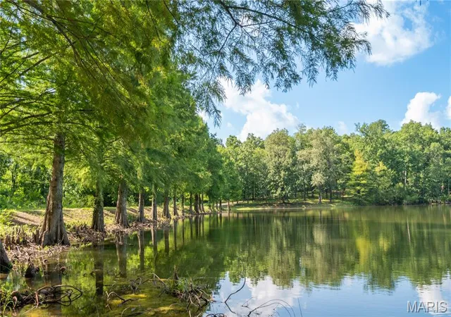Homes for sale in Bloomfield, MO | 17340 County Road 252, Bloomfield, MO 63825 | MLS# MIS26044658