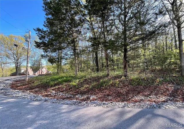 3rd image of 309 Lakewood Dr, Sainte Genevieve, MO 63670 | MLS# MIS26044728