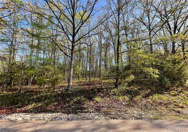 5th image of 309 Lakewood Dr, Sainte Genevieve, MO 63670 | MLS# MIS26044728