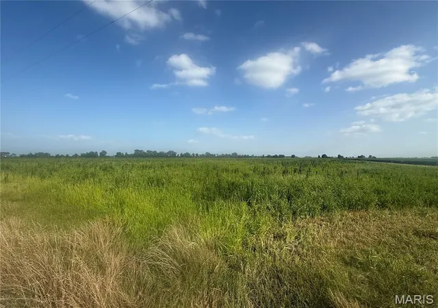 Homes for sale in Hayti, MO | 0 County Road 406, Hayti, MO 63851 | MLS# MIS26044751