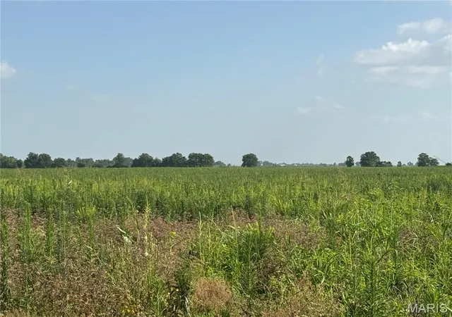 Homes for sale in Hayti, MO | 0 County Road 406, Hayti, MO 63851 | MLS# MIS26044751