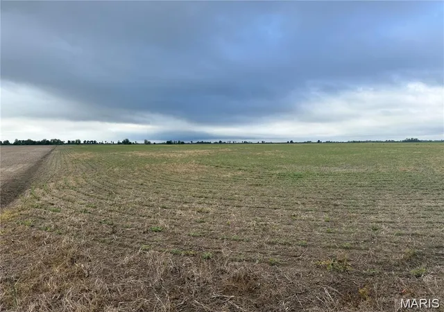 Homes for sale in Hayti, MO | 0 County Road 406, Hayti, MO 63851 | MLS# MIS26044751