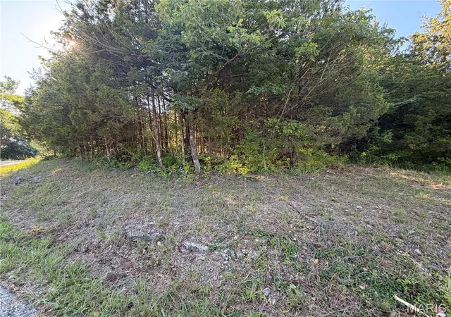 Homes for sale in Hillsboro, MO | 0 N Lake Dr, Hillsboro, MO 63050 | MLS# MIS26044812
