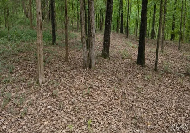 2nd image of 2346 W Squire Rd, Marthasville, MO 63357 | MLS# MIS26044963