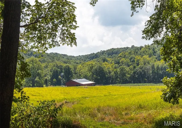 Photo 86 of Land for sale at 2924 Bess Hollow Rd, Kampsville, IL 62053 | MLS# MIS26045010 | Listing updated on 2026-07-15