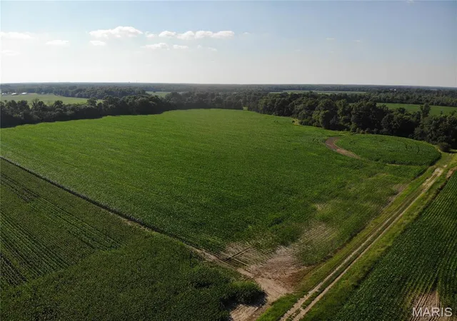 Photo 4 of Sale Pending at 3601 Peachtree Rd, Salem, IL 62881 | MLS# MIS26045068 | Listing updated on 2026-08-23