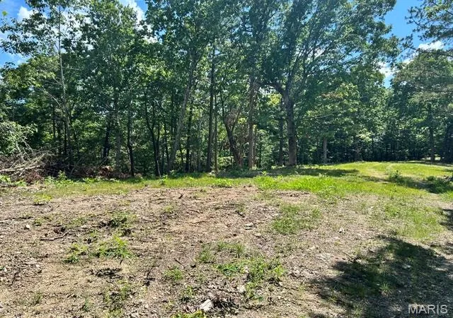 1st image of 1 Frst Rd Banner Belleview Rd, Belleview, MO 63623 | MLS# MIS26045178