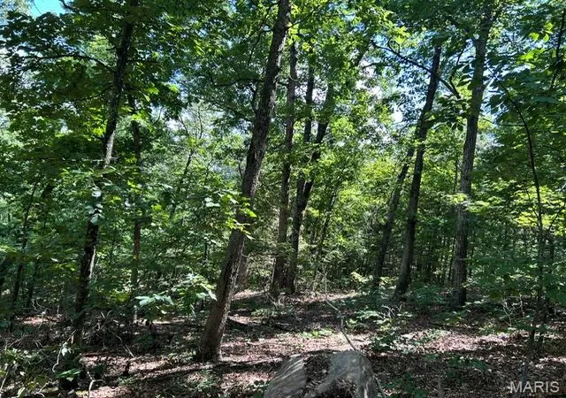 2nd image of 1 Frst Rd Banner Belleview Rd, Belleview, MO 63623 | MLS# MIS26045178