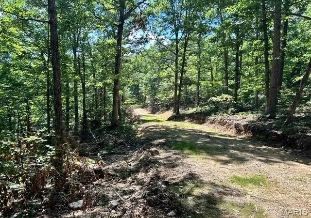 3rd image of 1 Frst Rd Banner-Belleview Rd, Belleview, MO 63623 | MLS# MIS26045178